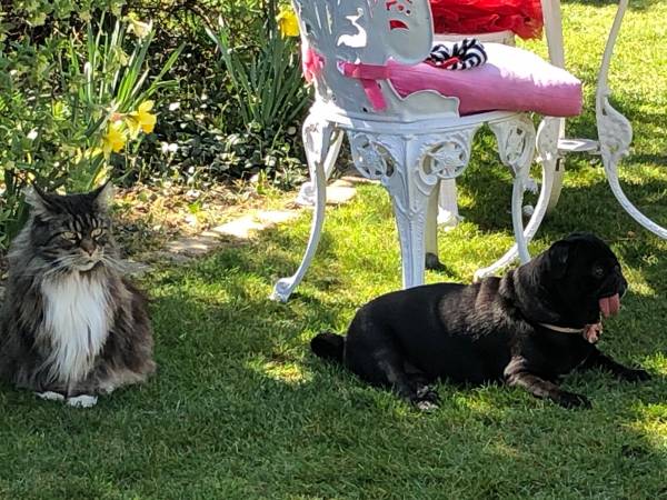 Flamandia & Willa Leśna