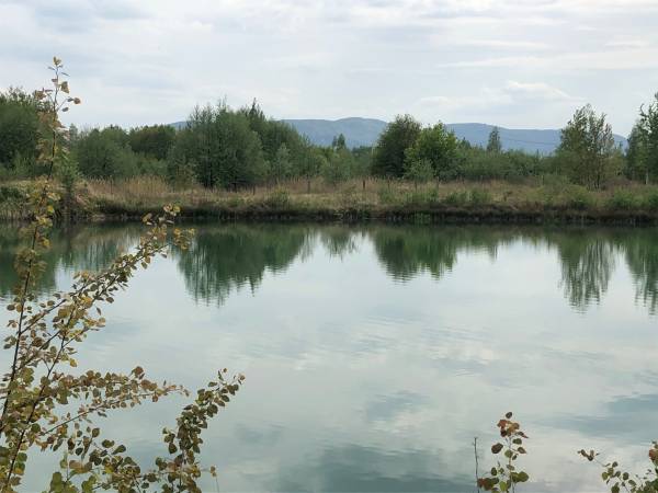 Flamandia & Willa Leśna