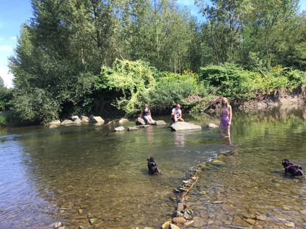 Flamandia & Willa Leśna