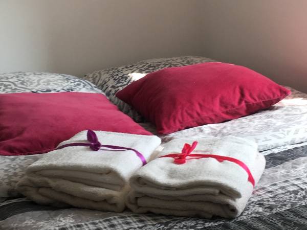 Flamandia & Willa Leśna