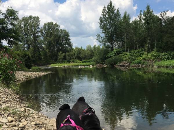 Flamandia & Willa Leśna