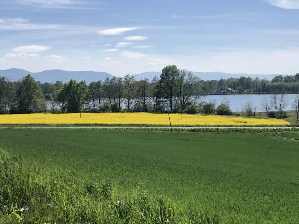 Flamandia & Willa Leśna