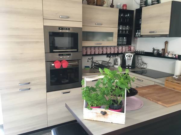 Flamandia & Willa Leśna