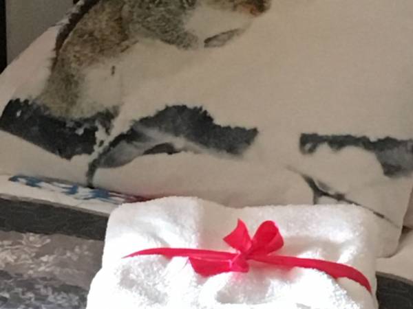 Flamandia & Willa Leśna