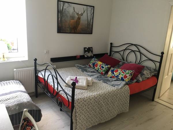 Flamandia & Willa Leśna