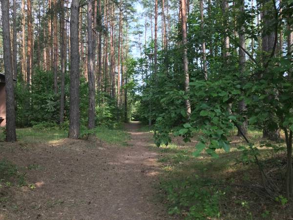 skrótem na drugie osiedle