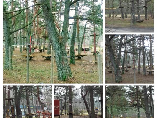 park linowy oddalony od nas o 150m