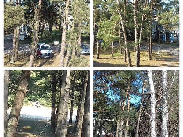 otoczenie domu Szum Fal