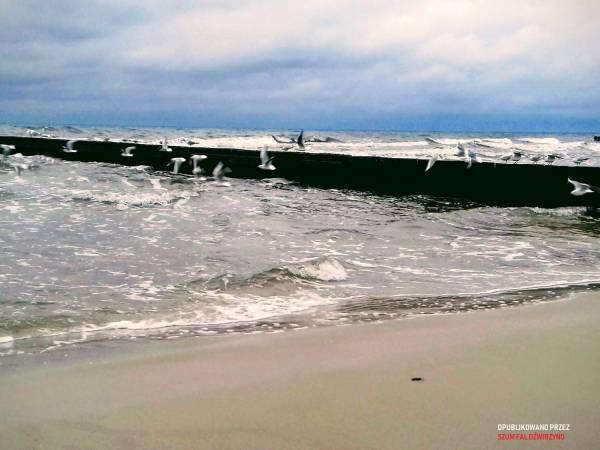 Plaża obok domu Szum Fal