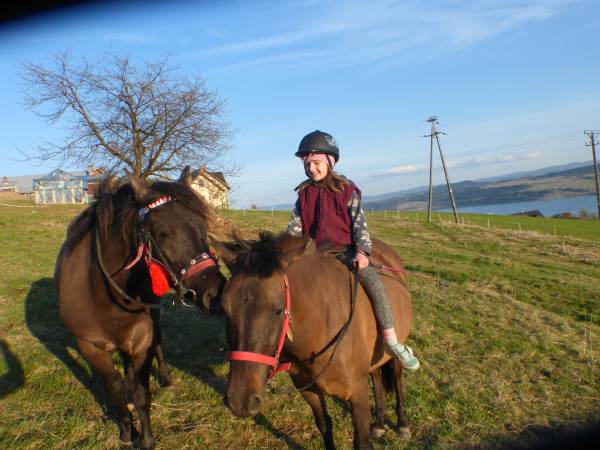 terenowa jazda konna