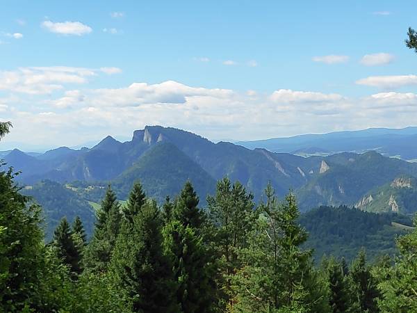 Widok na Trzy Korony z okolicy Wysokiego Wierchu