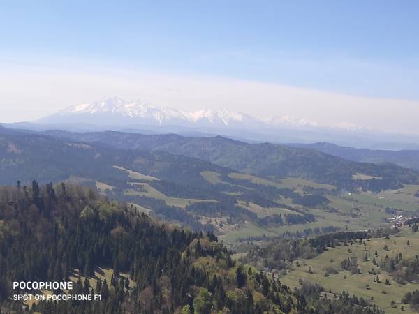 Widok na Tatry z Wysokiej
