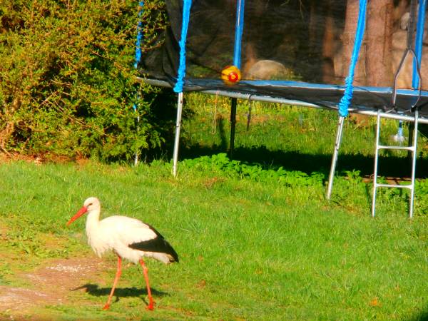 Agroturystyka Zacisze