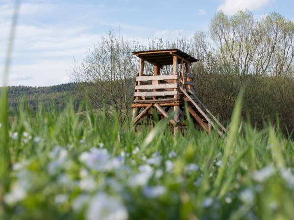Gościniec Pięciu Stawów 
