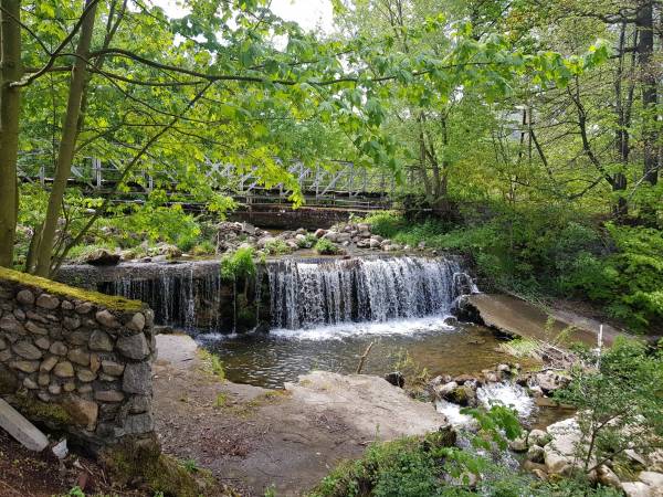 Widok z ogrodu na wodospady