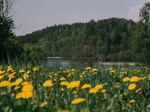 widok na Jeglówek