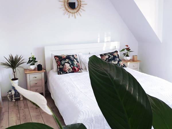 Pokoje gościnne u Flisaka