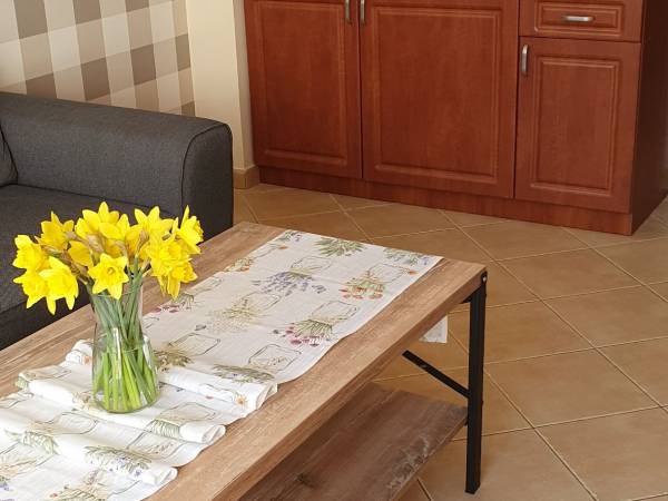 Apartament 2 aneks kuchenny