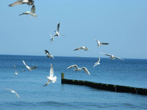 Apartament 5 Mórz Adam i Ewa