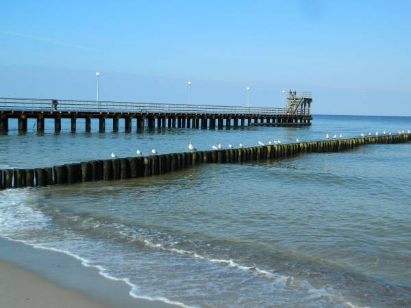 Apartament 5 Mórz Adam i Ewa