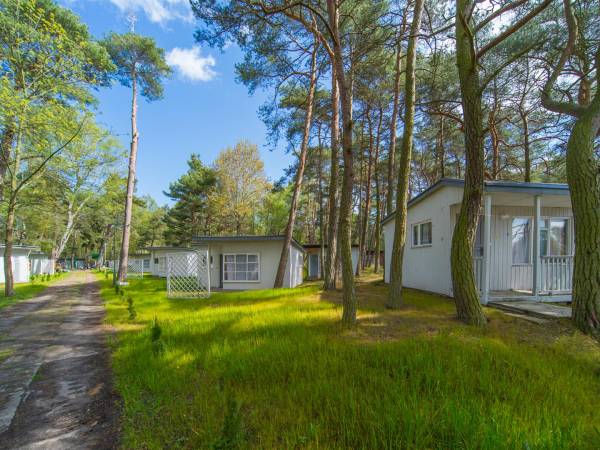 Sosenki - Domki Letniskowe