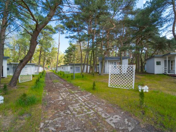 Sosenki - Domki Letniskowe