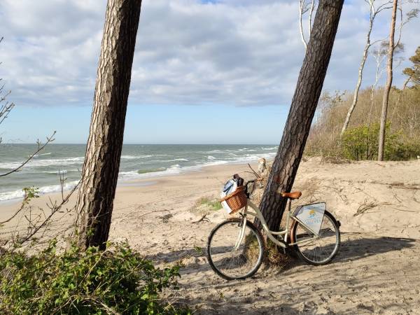 Nieodpłatne rowery od Bursztynowej Madery