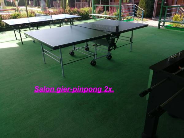 Salon gier - pingpong 2x.