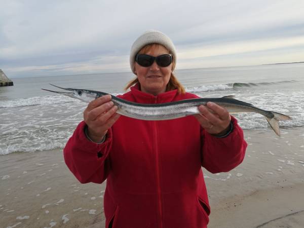 Pokoje gościnne Bryza