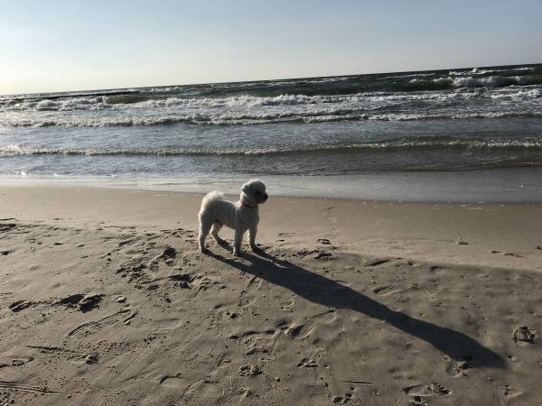 O.W. Wodnik Pobierowo