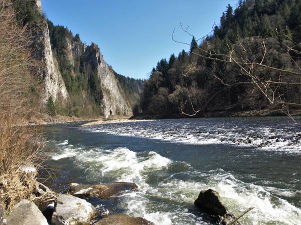 200m. od naszego obiektu.