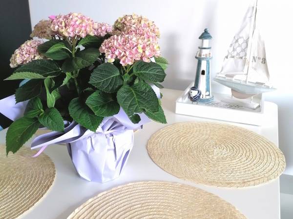 Apartament Blue 2 z tarasem