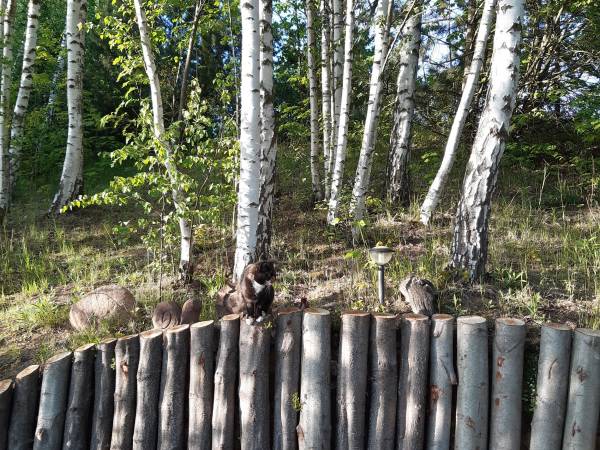 Agroturystyka Brzozowe Wzgórze