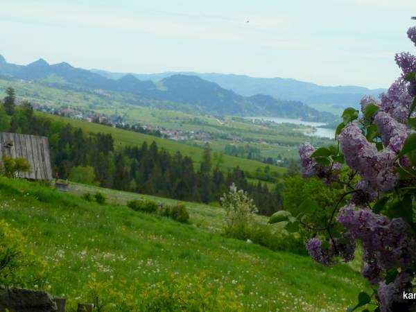 Bzy i widok na Pieniny z Zalewem Czorsztyńskim