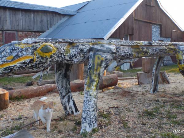 tworzy się - stół jaszczurka