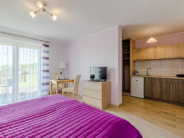 pokój nr 1 z aneksem