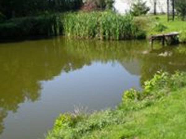 Podlaskie Gospodarstwo Agroturystyczne na Tatarskim Szlaku 