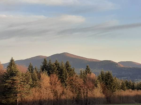 Beskid niski