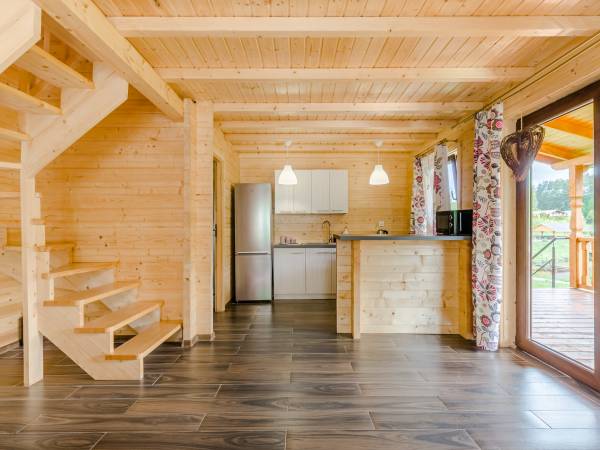 Domki nad jeziorem Ołów z własnym stawem 