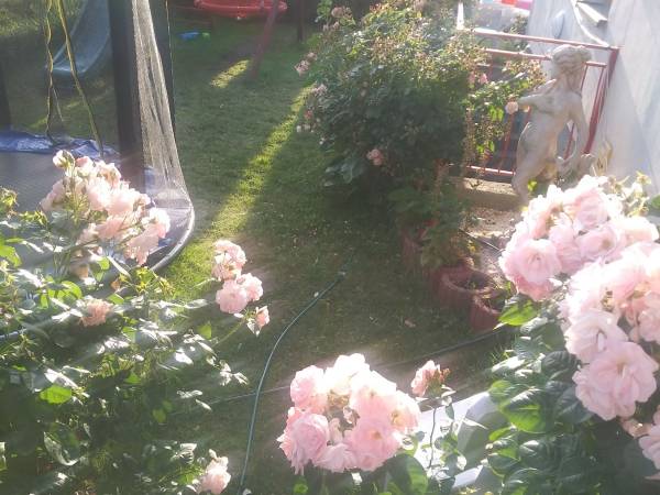 Willa Małgośka 2 noclegi