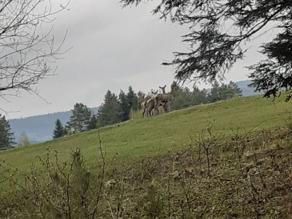 Cudowne miejsce na spacery