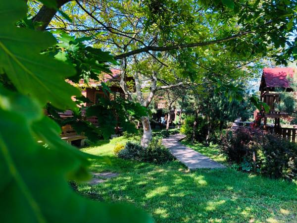 Domki Letniskowe Kopań