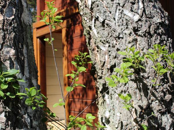 kwatery prywatne Szum Fal Dźwirzyno