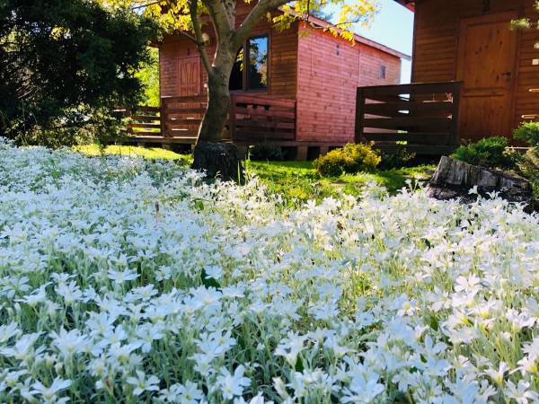 Domki Letniskowe Kopań
