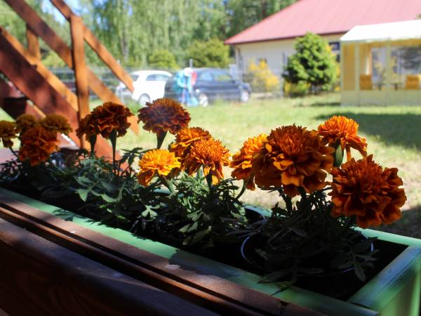 kwatery prywatne Szum Fal Dźwirzyno