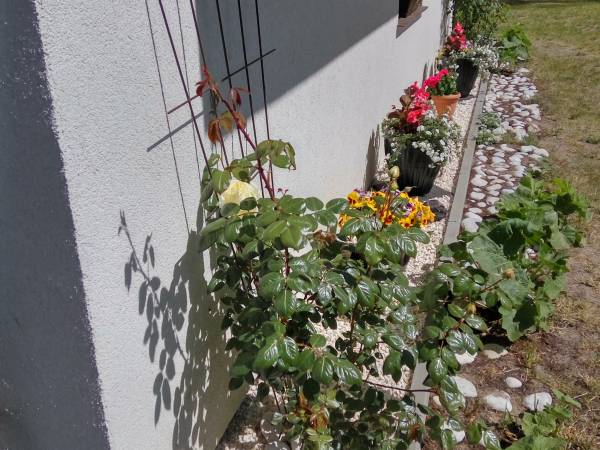 Pokoje gościnne Wanda 