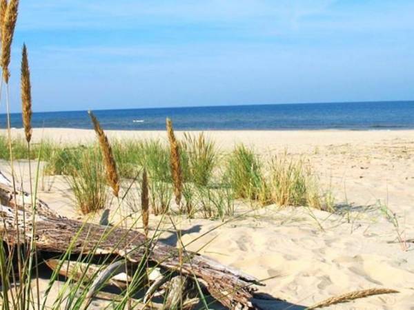 Bursztynowy Zakątek