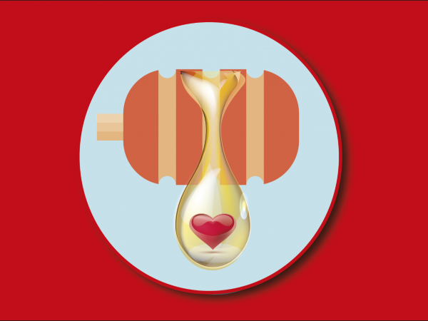 600zl 6 dni z pelnym wyzywieniem Ful Opcja