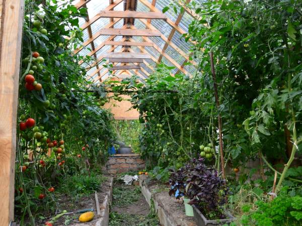 Agroturystyka Zacisze