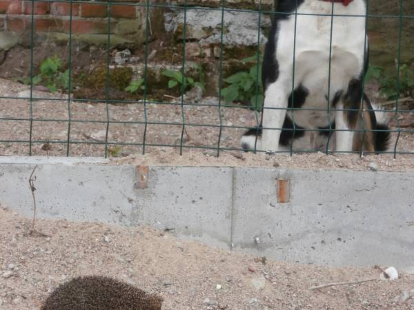 Agroturystyka Zacisze